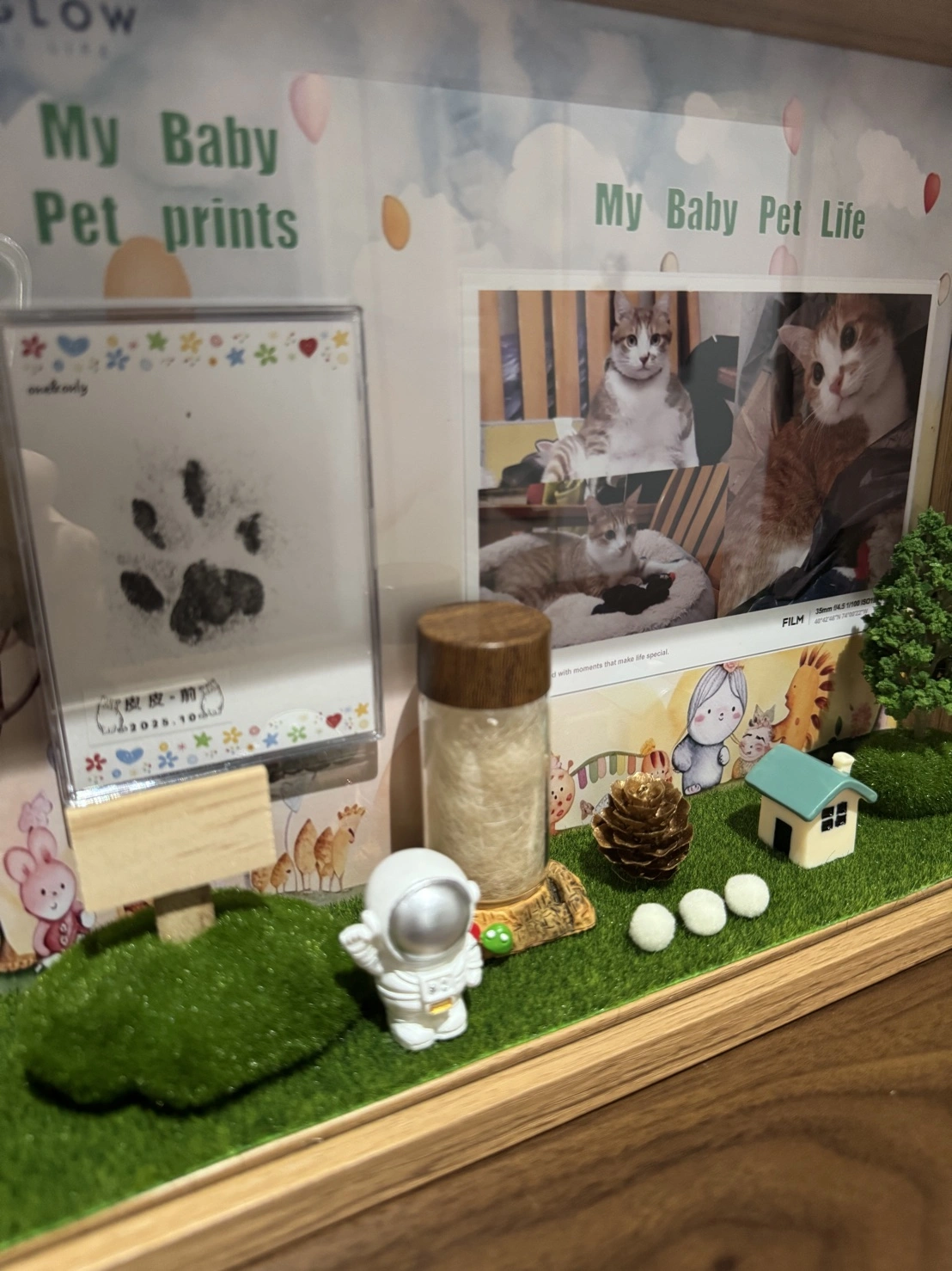 寵物離世告別故事：皮皮在生日這天最後的祝福歌